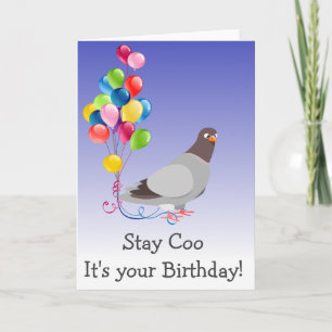 Carte Reste Cool C'est Ton Anniversaire Pigeon Oiseau