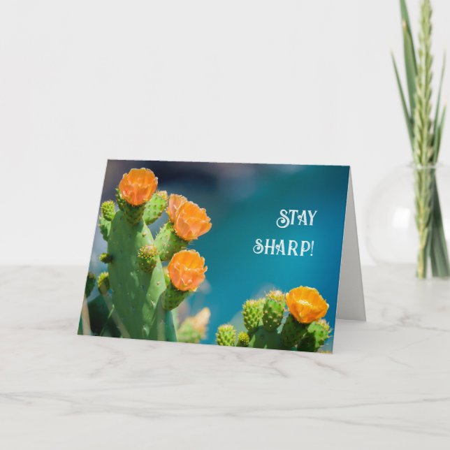 Carte Restez vif - Photo d'anniversaire de fleur de cact (Devant)