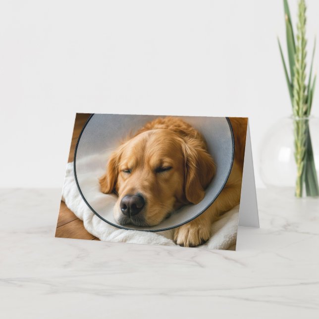 Carte Rétablissement rapide Golden Retriever (Devant)