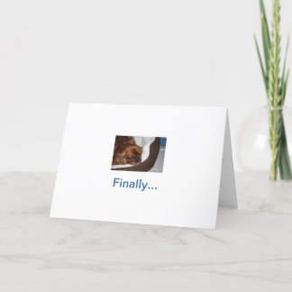 Carte Retraite de chien idiot