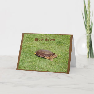 Carte Retraite - Tortue basse sur le terrain de golf