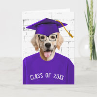 Rétrieur doré diplômé avec Casquette violet