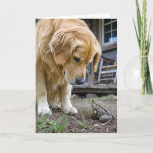 Carte Retriever doré d'anniversaire et grenouille en con