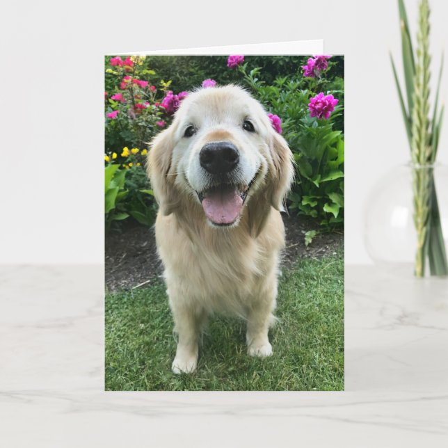 Carte Retriever doré souriant avec Merci de fleurs (Devant)
