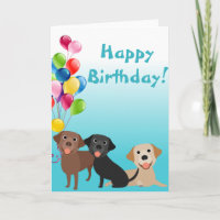 Retriever du Labrador animal de laboratoire avec d
