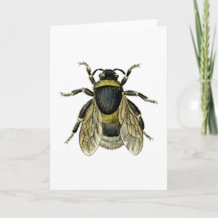 Carte Retro Bee Antique Illustration noir et jaune