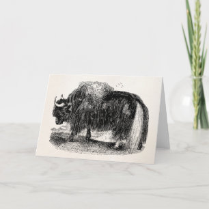 Carte Rétro illustration d'animal de yaks de yaks
