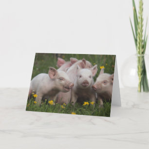 Carte Réunion des trois petits porcs