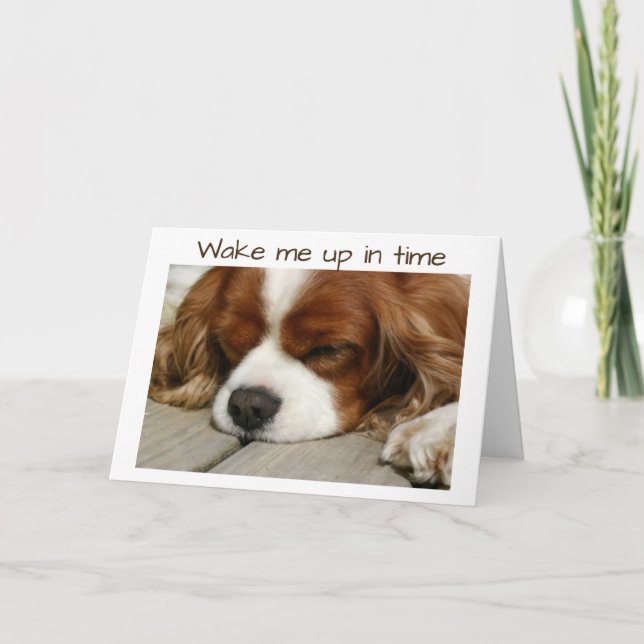 CARTE "RÉVEILLEZ-MOI À TEMPS" ANNIVERSAIRE (Devant)