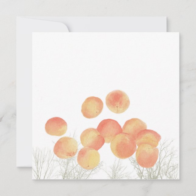 Carte Rêver d'abricots en hiver (Devant)