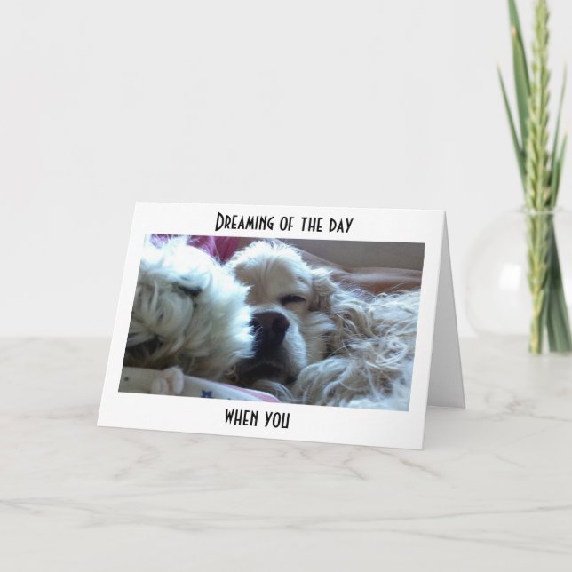 CARTE RÊVER QUE VOUS ÊTES PLUS ÂGÉ QUE MOI=ANNIVERSAIRE (Devant)