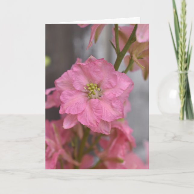 Carte Reverence Rosée – Fleur Rose en Macro Florale (Devant)