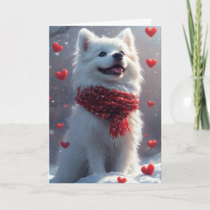Carte Rêveuse Saint-Valentin American Eskimo