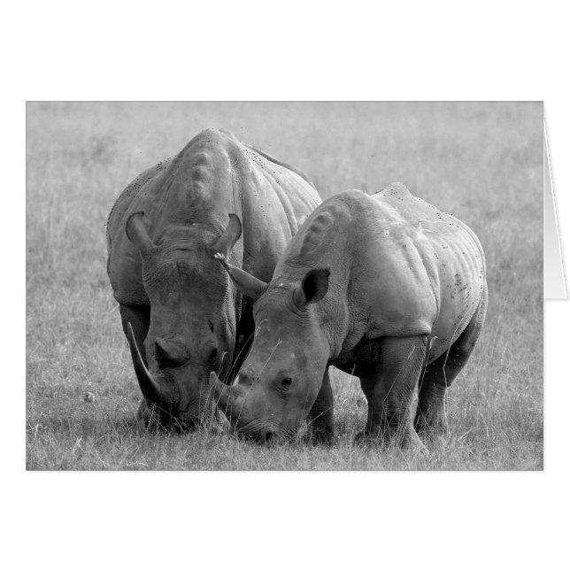 Carte Rhino noir et blanc (Devant horizontal)