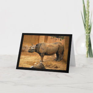 Carte Rhinocéros Dos Au Mur
