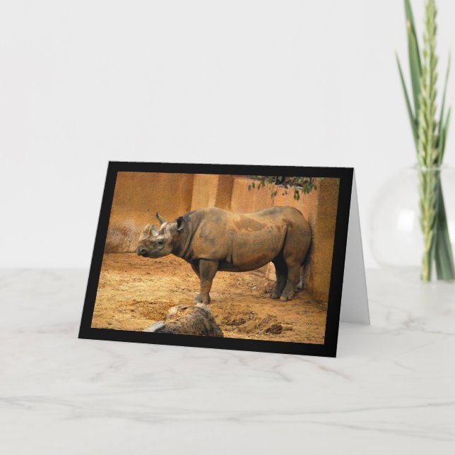 Carte Rhinocéros Dos Au Mur (Devant)