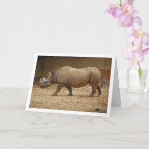 Carte Rhinocéros marchant