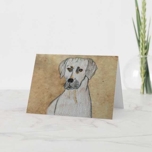 Carte Rhodesian Ridgeback (Devant)