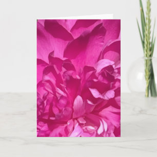 Carte Rhododendron Gros Plan Fleur Photo de Plante