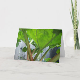 Carte Rhubarb card