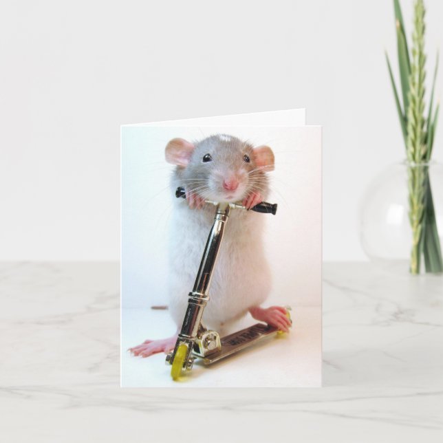 Carte Rien N'Est Impossible (Devant)