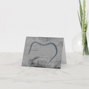 Carte Ringneck Snake Note Card
