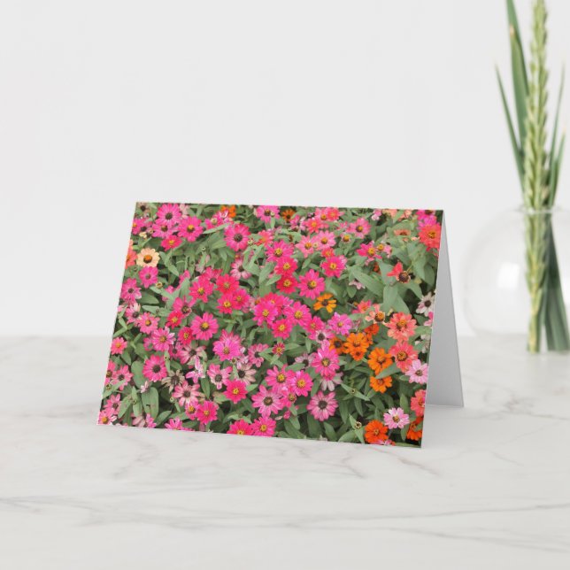 Carte Riotious pink (Devant)