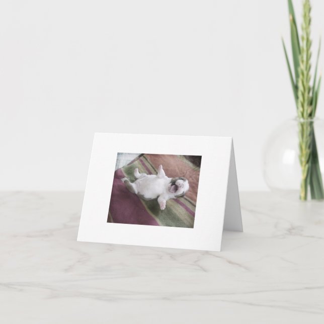 Carte Rire Bulldog Chiot (Devant)
