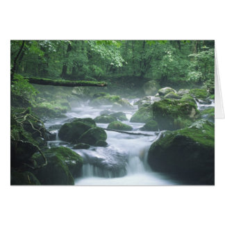 CARTE - RIVER