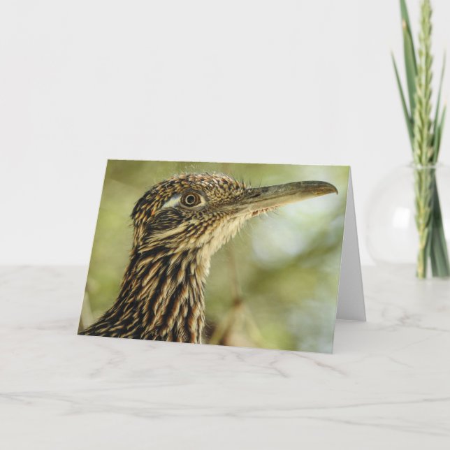 Carte Roadrunner Notecard (Devant)