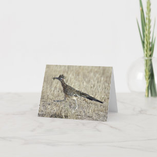 Carte Roadrunner Photograph Note Card
