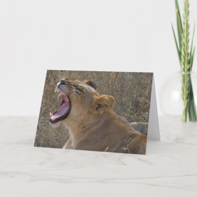 Carte Roaring lion greeting card (Devant)