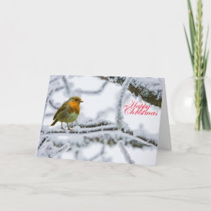 Carte Robbin Redsein