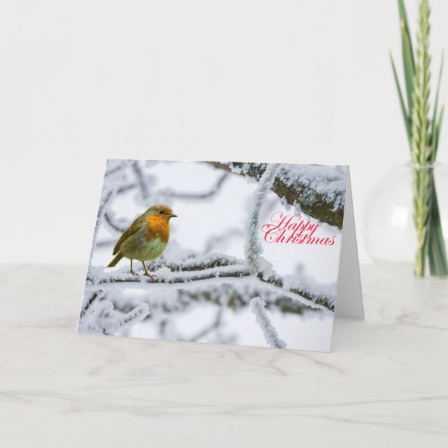 Carte Robbin Redsein (Devant)