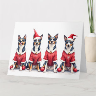Carte Robe de Noël Blue Heeler avec chapeau de Père Noël