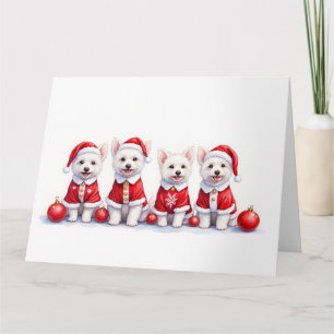Carte Robe de Noël Coton de Tulear Chapeau de Père Noël
