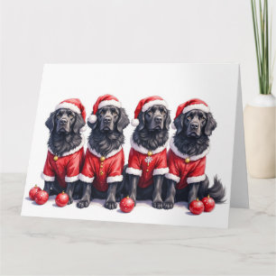 Carte Robe de Noël de Terre-Neuve Chapeau de Père Noël