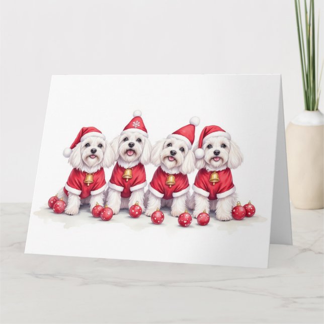 Carte Robe de Noël Havanese Chapeau de Père Noël (Devant)