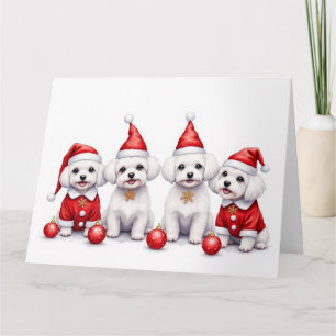 Carte Robe de Noël maltaise Chapeau de Père Noël