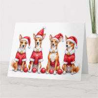 Robe de Noël pour Basenji avec chapeau de Père Noë