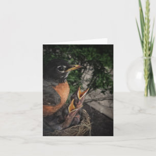 Carte Robin and Babies