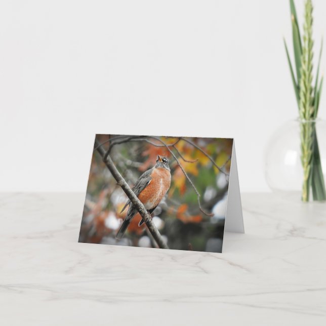 Carte Robin dans un arbre vierge à l'intérieur (Devant)