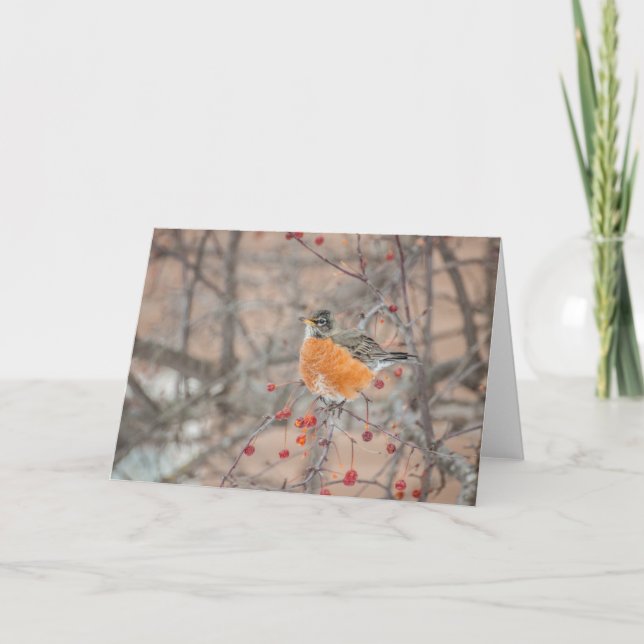 Carte Robin d'hiver 1 (Devant)