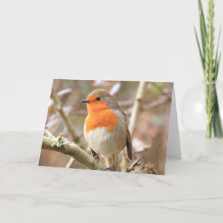 Carte Robin d'hiver Redsein