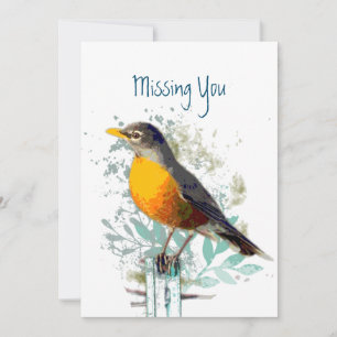 Carte Robin Garden Bird Wildlife Missing You Card