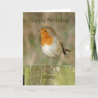 "Robin-Oiseau européen le Northumberland