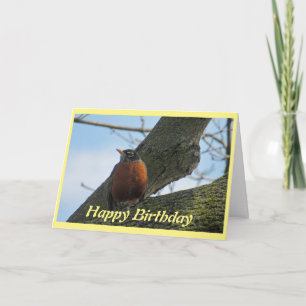 Carte Robin Photographie Anniversaire