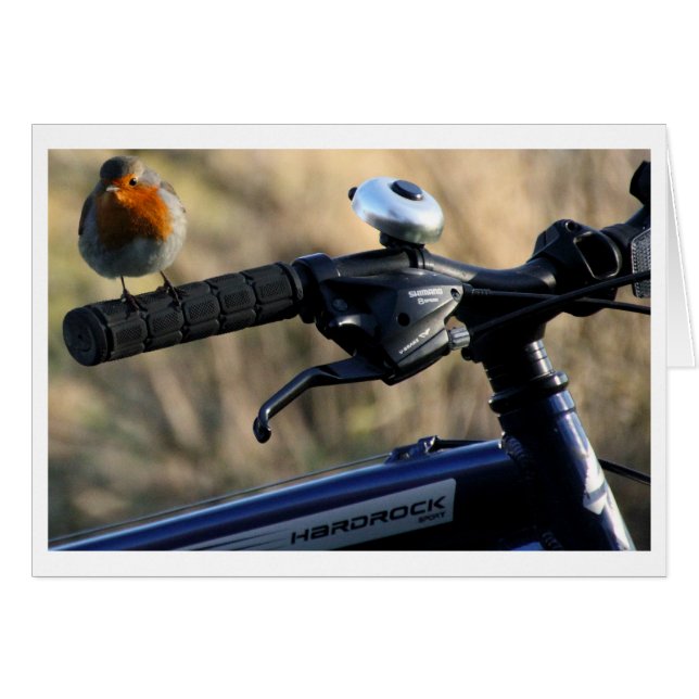 Carte Robin Redsein Hitchhiker (Devant horizontal)