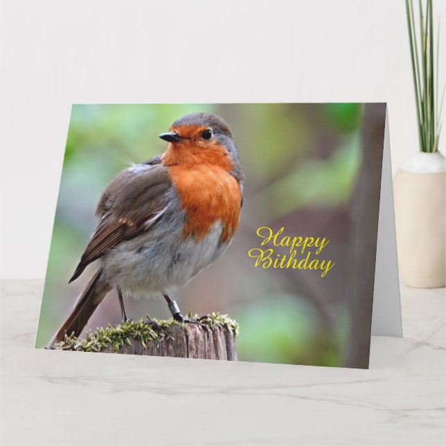 Carte Robin Refmamin (Devant)