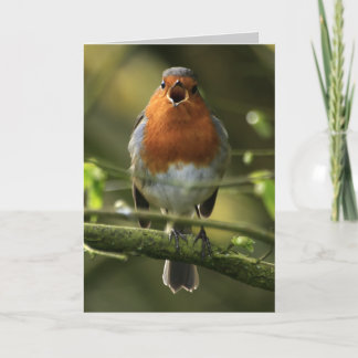 Carte Robin Song
